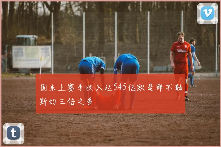 国米上赛季收入达545亿欧是那不勒斯的三倍之多