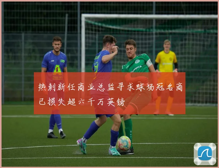 热刺新任商业总监寻求球场冠名商已损失超六千万英镑