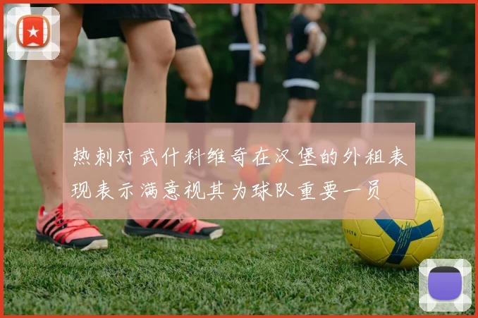 热刺对武什科维奇在汉堡的外租表现表示满意视其为球队重要一员