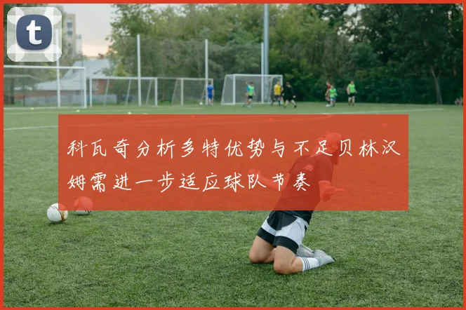 科瓦奇分析多特优势与不足贝林汉姆需进一步适应球队节奏