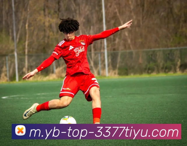 3377体育平台生态图