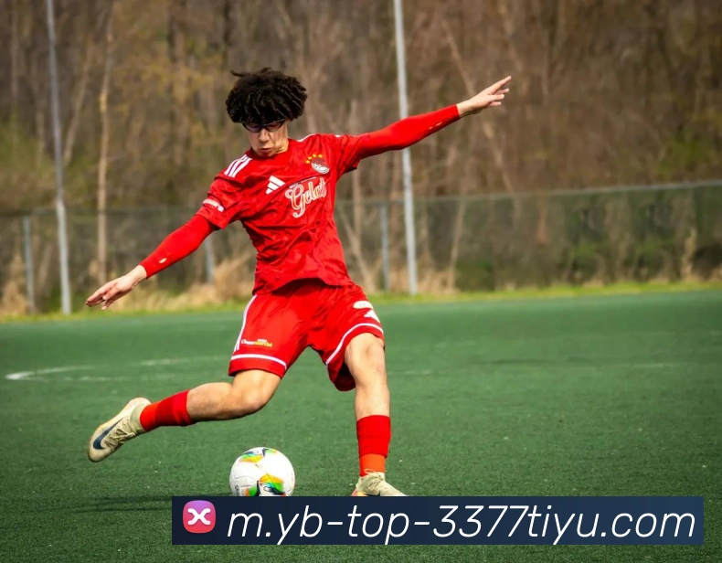 3377体育APP 封面图